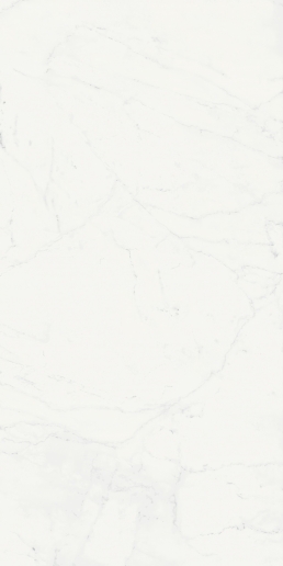 Charme Deluxe Floor Project Bianco Michelangelo 80x160
