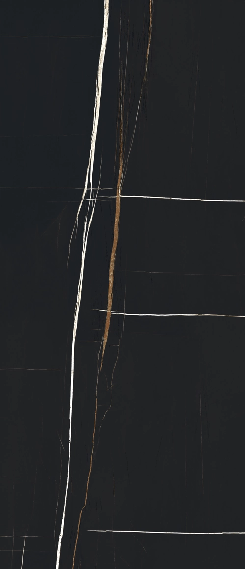 Sahara Noir