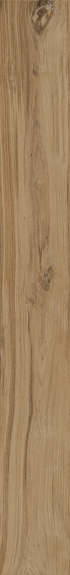 Oak